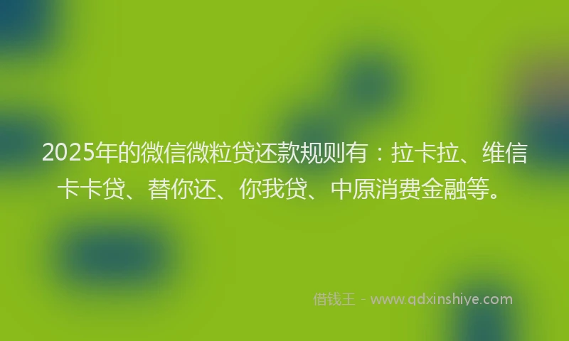 2025年的微信微粒贷还款规则有：拉卡拉、维信卡卡贷、替你还、你我贷、中原消费金融等。