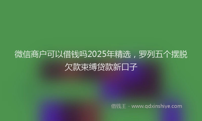 微信商户可以借钱吗2025年精选，罗列五个摆脱欠款束缚贷款新口子