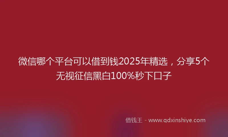 微信哪个平台可以借到钱2025年精选，分享5个无视征信黑白100%秒下口子