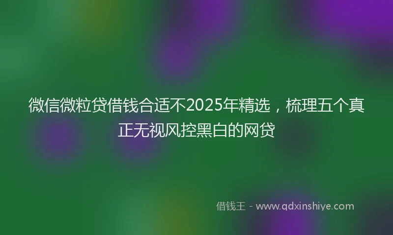 微信微粒贷借钱合适不2025年精选，梳理五个真正无视风控黑白的网贷