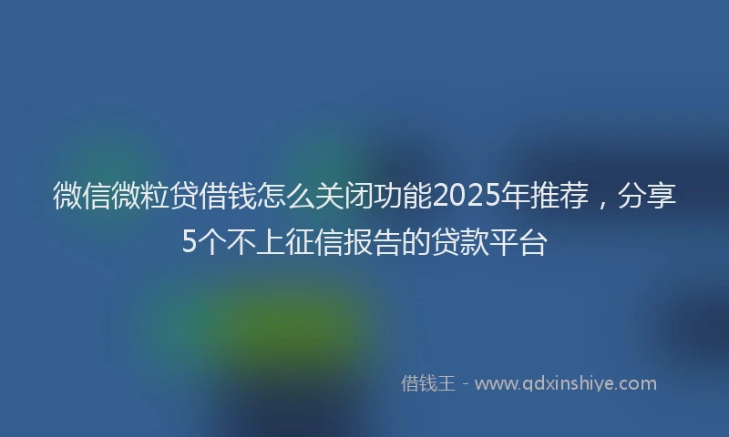 微信微粒贷借钱怎么关闭功能2025年推荐，分享5个不上征信报告的贷款平台