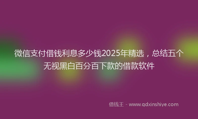 微信支付借钱利息多少钱2025年精选，总结五个无视黑白百分百下款的借款软件