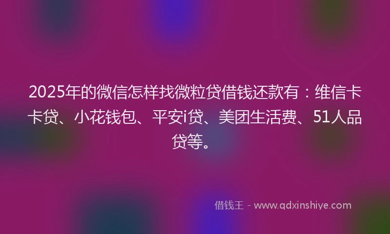 2025年的微信怎样找微粒贷借钱还款有：维信卡卡贷、小花钱包、平安i贷、美团生活费、51人品贷等。