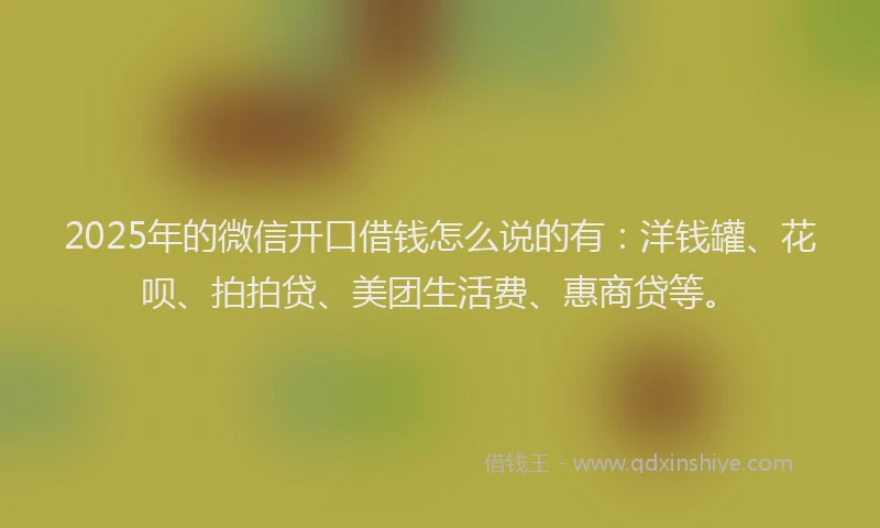 2025年的微信开口借钱怎么说的有：洋钱罐、花呗、拍拍贷、美团生活费、惠商贷等。