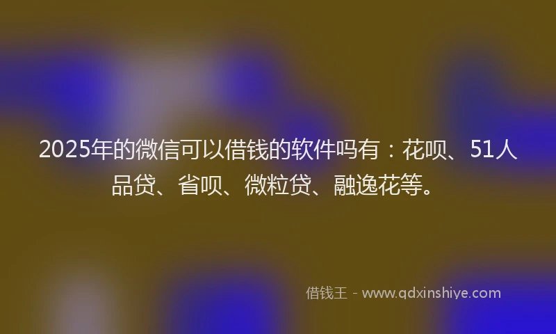 2025年的微信可以借钱的软件吗有：花呗、51人品贷、省呗、微粒贷、融逸花等。