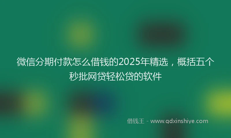 微信分期付款怎么借钱的2025年精选，概括五个秒批网贷轻松贷的软件