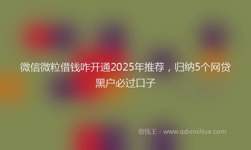 微信微粒借钱咋开通2025年推荐，归纳5个网贷黑户必过口子