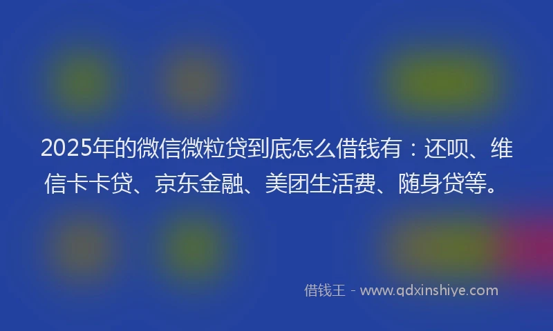 2025年的微信微粒贷到底怎么借钱有：还呗、维信卡卡贷、京东金融、美团生活费、随身贷等。