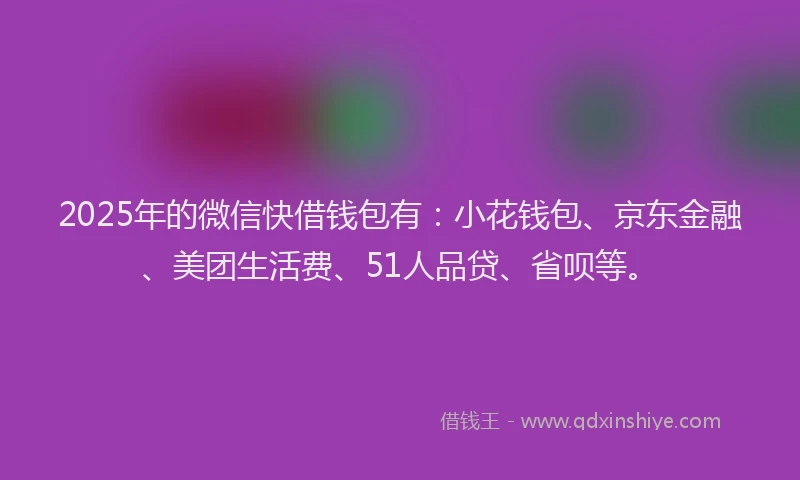 2025年的微信快借钱包有：小花钱包、京东金融、美团生活费、51人品贷、省呗等。