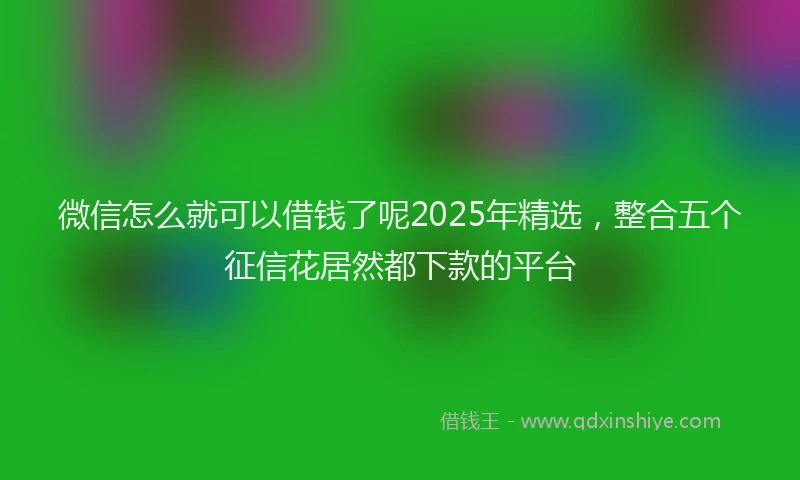 微信怎么就可以借钱了呢2025年精选，整合五个征信花居然都下款的平台