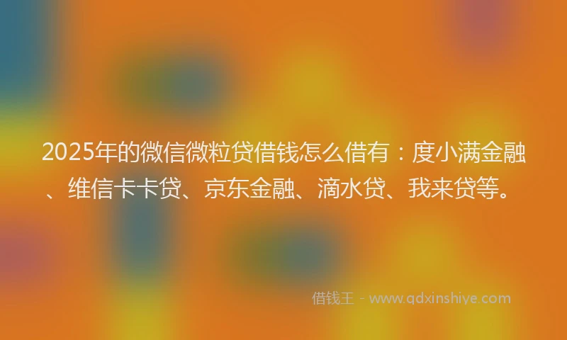 2025年的微信微粒贷借钱怎么借有：度小满金融、维信卡卡贷、京东金融、滴水贷、我来贷等。
