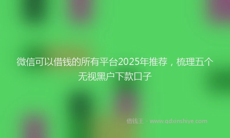 微信可以借钱的所有平台2025年推荐，梳理五个无视黑户下款口子