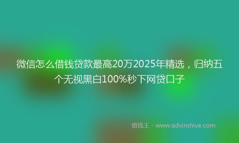 微信怎么借钱贷款最高20万2025年精选，归纳五个无视黑白100%秒下网贷口子