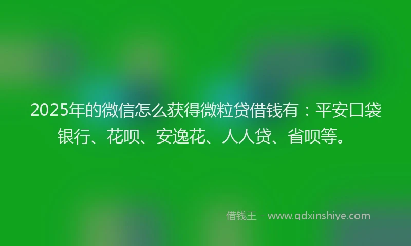 2025年的微信怎么获得微粒贷借钱有：平安口袋银行、花呗、安逸花、人人贷、省呗等。