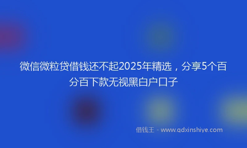 微信微粒贷借钱还不起2025年精选，分享5个百分百下款无视黑白户口子