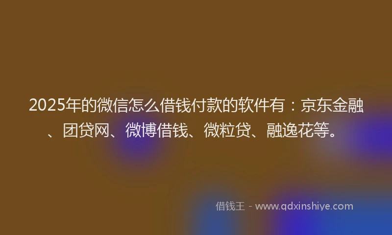 2025年的微信怎么借钱付款的软件有：京东金融、团贷网、微博借钱、微粒贷、融逸花等。