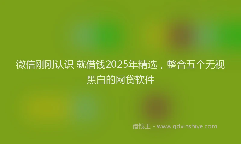 微信刚刚认识 就借钱2025年精选，整合五个无视黑白的网贷软件