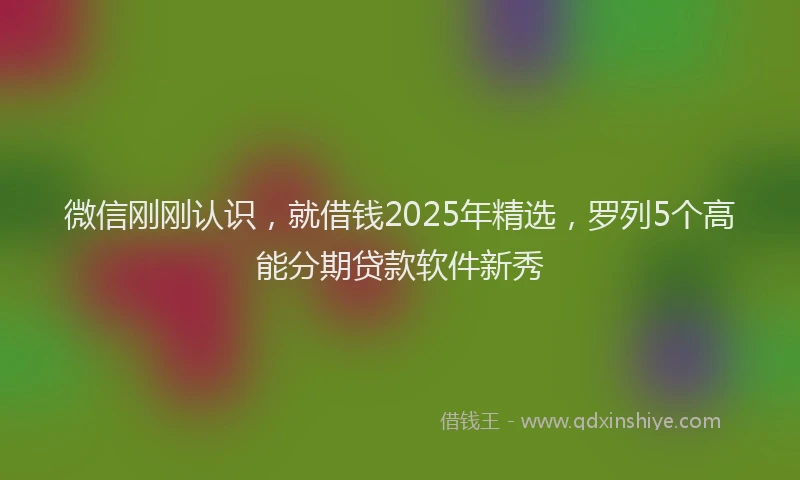 微信刚刚认识，就借钱2025年精选，罗列5个高能分期贷款软件新秀