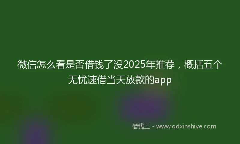 微信怎么看是否借钱了没2025年推荐，概括五个无忧速借当天放款的app