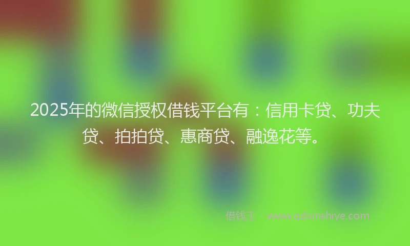 2025年的微信授权借钱平台有：信用卡贷、功夫贷、拍拍贷、惠商贷、融逸花等。