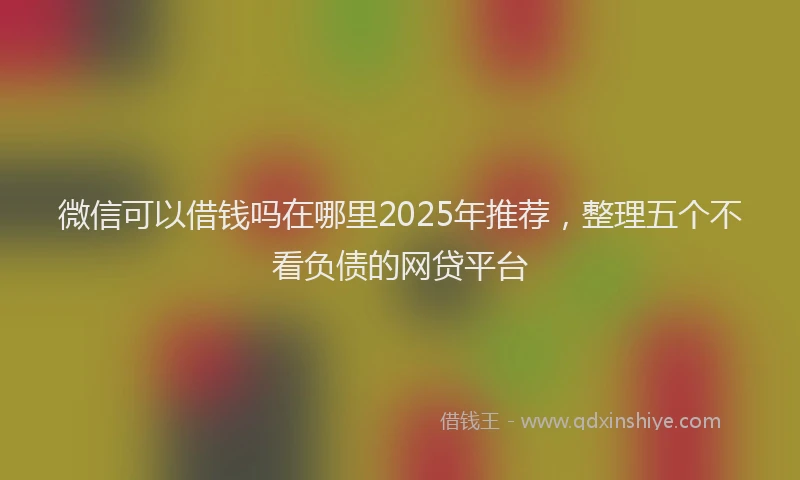 微信可以借钱吗在哪里2025年推荐，整理五个不看负债的网贷平台