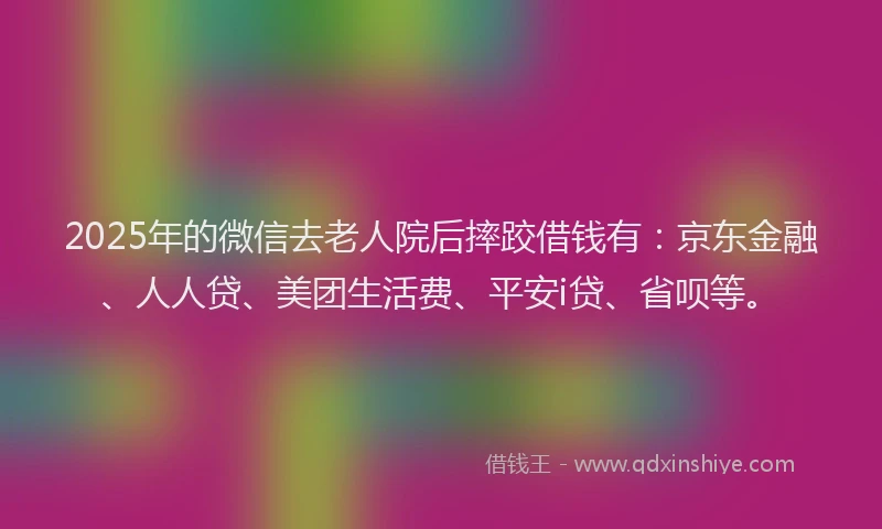 2025年的微信去老人院后摔跤借钱有：京东金融、人人贷、美团生活费、平安i贷、省呗等。