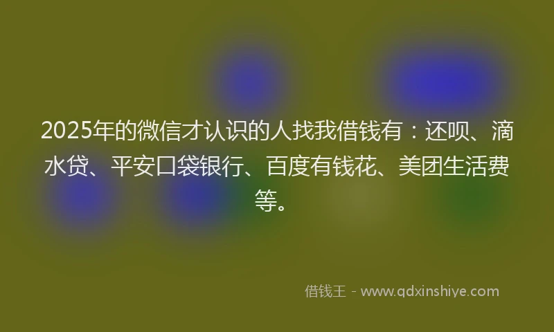 2025年的微信才认识的人找我借钱有：还呗、滴水贷、平安口袋银行、百度有钱花、美团生活费等。