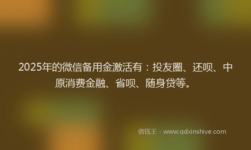 2025年的微信备用金激活有：投友圈、还呗、中原消费金融、省呗、随身贷等。