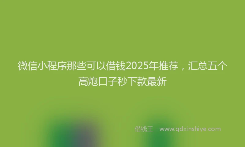 微信小程序那些可以借钱2025年推荐，汇总五个高炮口子秒下款最新