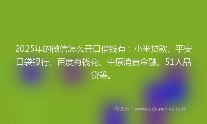 2025年的微信怎么开口借钱有：小米贷款、平安口袋银行、百度有钱花、中原消费金融、51人品贷等。