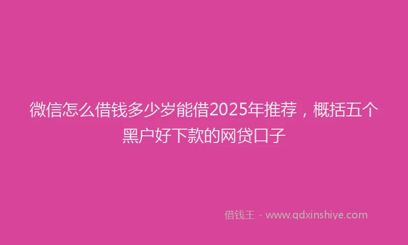 微信怎么借钱多少岁能借2025年推荐，概括五个黑户好下款的网贷口子