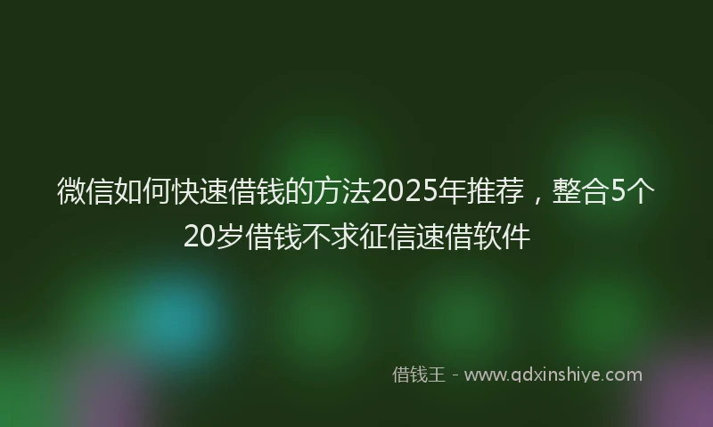 微信如何快速借钱的方法2025年推荐，整合5个20岁借钱不求征信速借软件