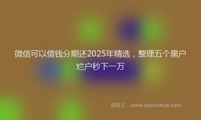微信可以借钱分期还2025年精选，整理五个黑户烂户秒下一万