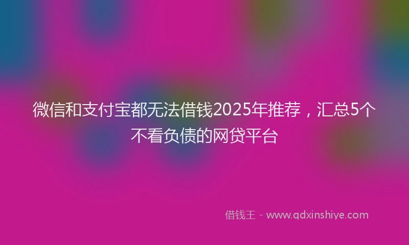 微信和支付宝都无法借钱2025年推荐，汇总5个不看负债的网贷平台