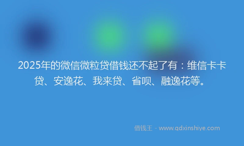 2025年的微信微粒贷借钱还不起了有：维信卡卡贷、安逸花、我来贷、省呗、融逸花等。