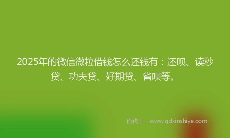 2025年的微信微粒借钱怎么还钱有：还呗、读秒贷、功夫贷、好期贷、省呗等。