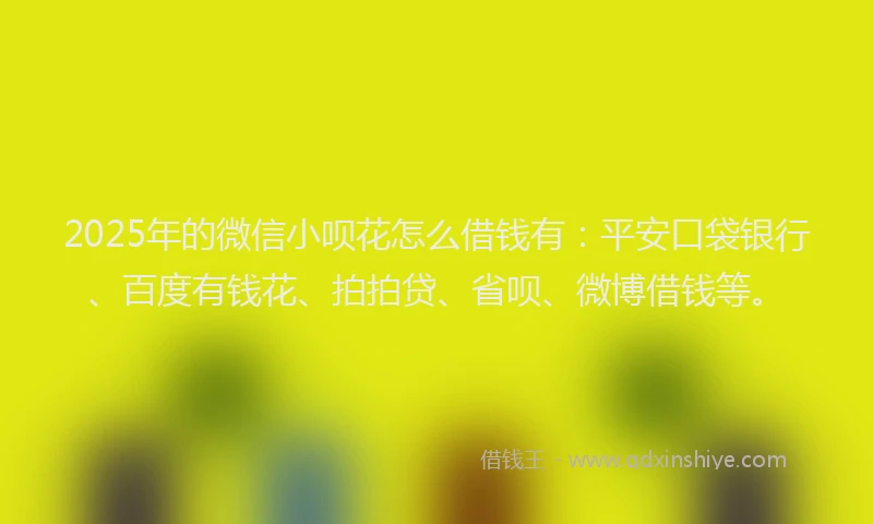 2025年的微信小呗花怎么借钱有：平安口袋银行、百度有钱花、拍拍贷、省呗、微博借钱等。
