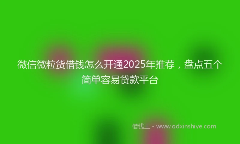 微信微粒货借钱怎么开通2025年推荐，盘点五个简单容易贷款平台