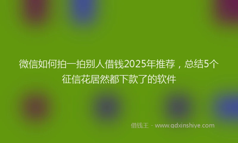 微信如何拍一拍别人借钱2025年推荐，总结5个征信花居然都下款了的软件