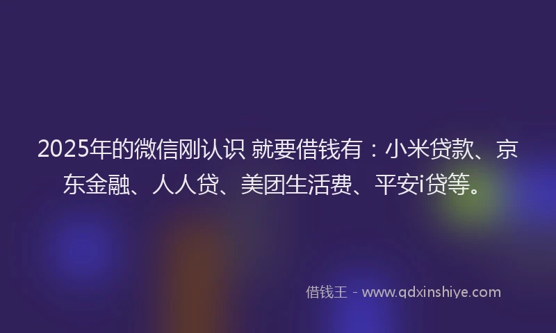 2025年的微信刚认识 就要借钱有：小米贷款、京东金融、人人贷、美团生活费、平安i贷等。