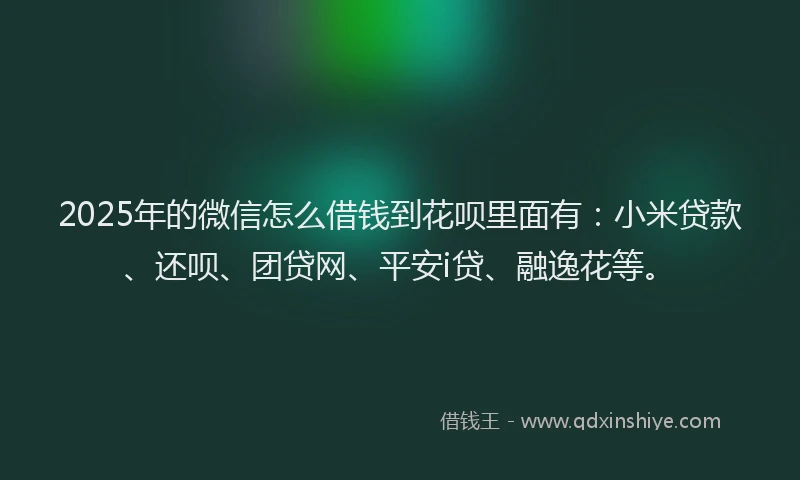 2025年的微信怎么借钱到花呗里面有：小米贷款、还呗、团贷网、平安i贷、融逸花等。