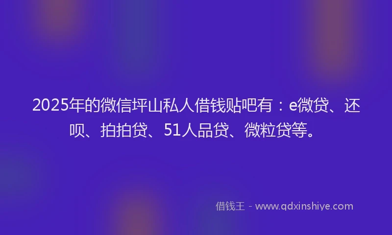 2025年的微信坪山私人借钱贴吧有：e微贷、还呗、拍拍贷、51人品贷、微粒贷等。