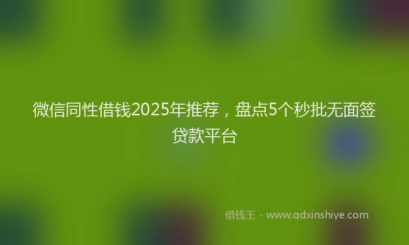 微信同性借钱2025年推荐，盘点5个秒批无面签贷款平台