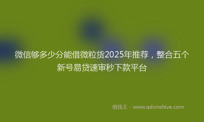 微信够多少分能借微粒货2025年推荐,整合五个新号易贷速审秒下款平台