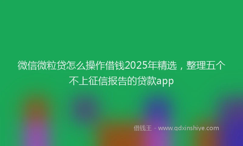 微信微粒贷怎么操作借钱2025年精选，整理五个不上征信报告的贷款app