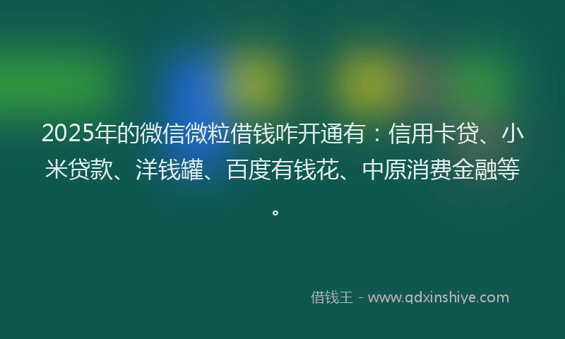 2025年的微信微粒借钱咋开通有：信用卡贷、小米贷款、洋钱罐、百度有钱花、中原消费金融等。