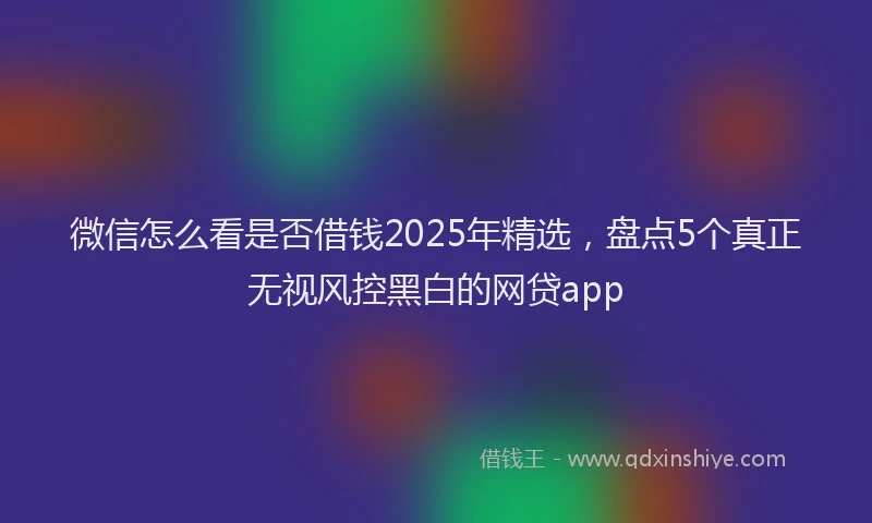微信怎么看是否借钱2025年精选，盘点5个真正无视风控黑白的网贷app