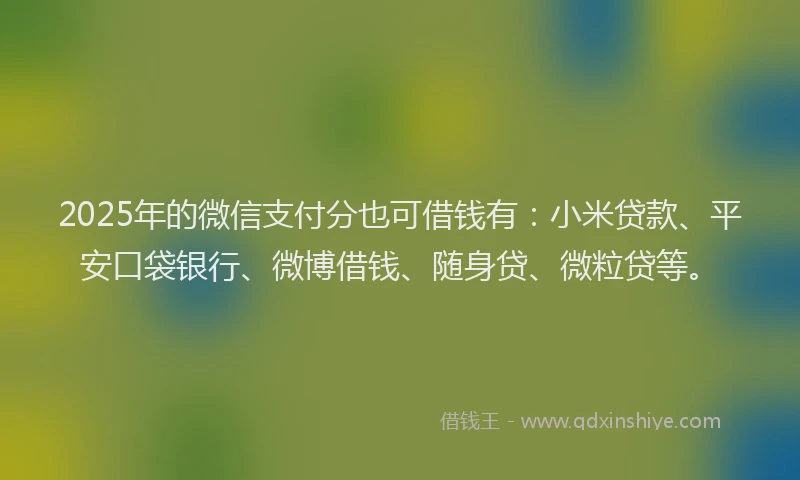 2025年的微信支付分也可借钱有：小米贷款、平安口袋银行、微博借钱、随身贷、微粒贷等。