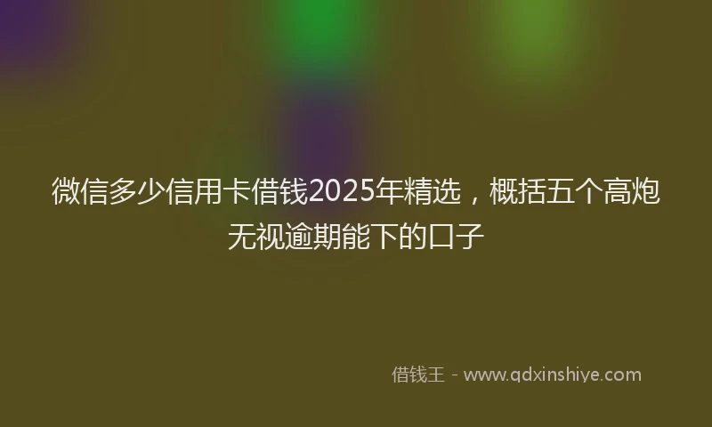 微信多少信用卡借钱2025年精选，概括五个高炮无视逾期能下的口子