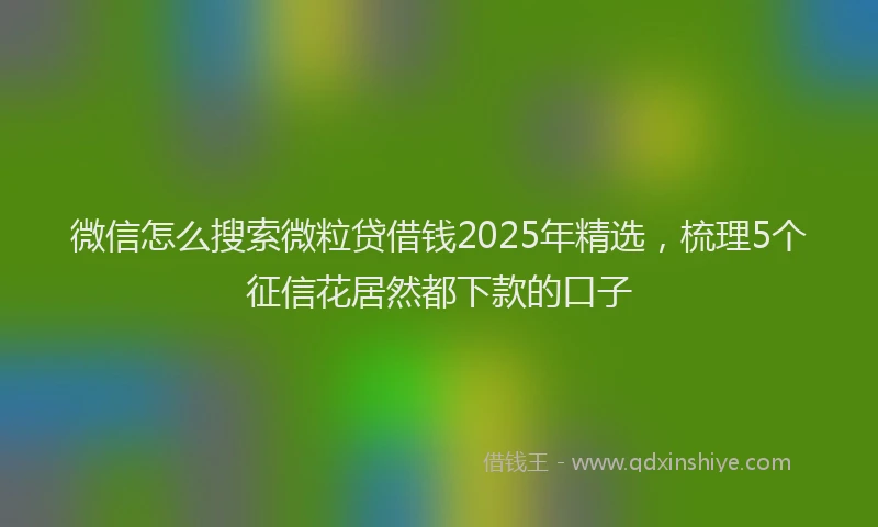 微信怎么搜索微粒贷借钱2025年精选，梳理5个征信花居然都下款的口子